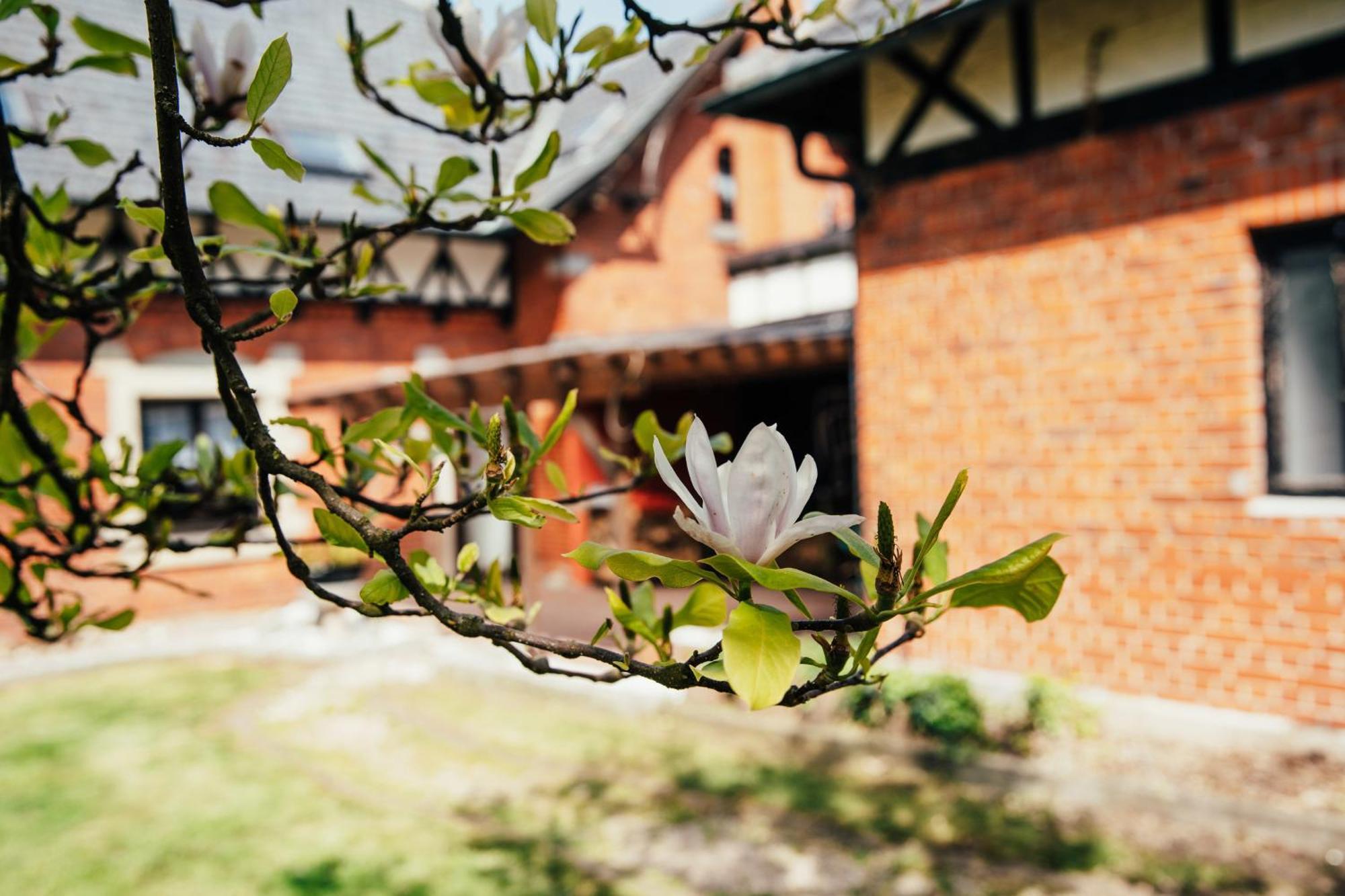 Apartmán Alte Schule Spittelstein 1Og Links Rödental Exteriér fotografie